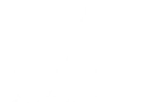 TA - là dấu ấn