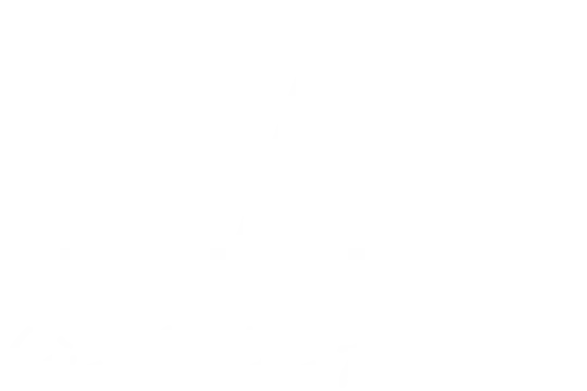 TA - là kiến tạo